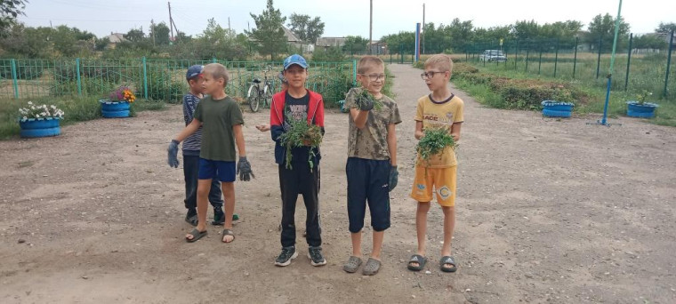 КТД «Чистота – залог здоровья!».
